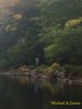 Campsite 23