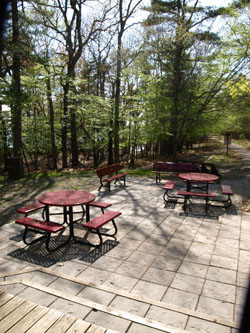 Canteen 3