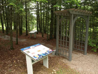 Volunteer Walk of Honour 1