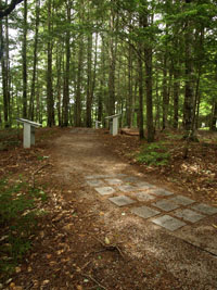 Walk of Honour 3
