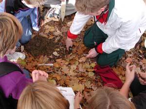 Digging up a time capsule