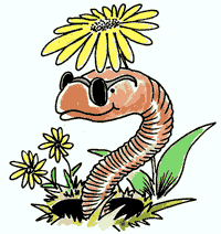 earthworm