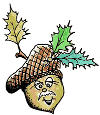 oak acorn