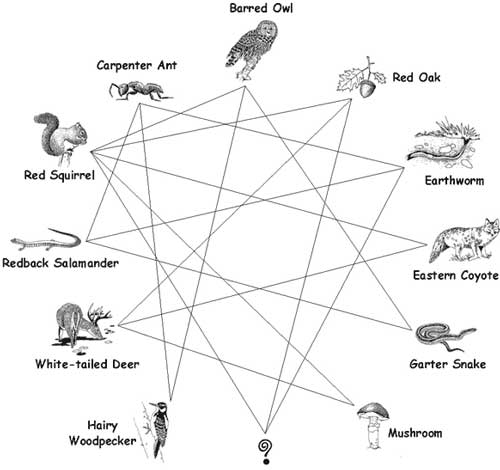 Keji Connections
