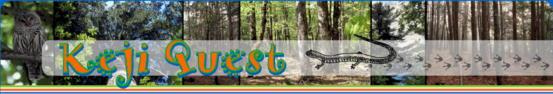 Keji Quest